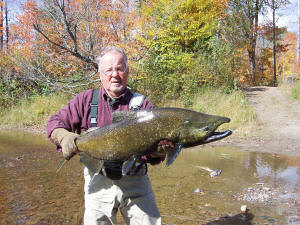 Joe shows off a nice 39 inch Garden River King Salmon he caught on the fly rod.