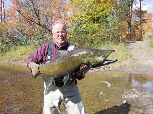 Joe with a monster 39 inch Garden River Chinook Salmon he caught 200 yards from the camp