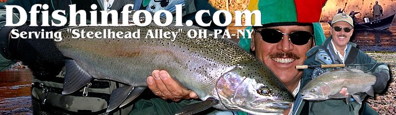 Pennsylvania steelhead fishing Guided Fishing trips
